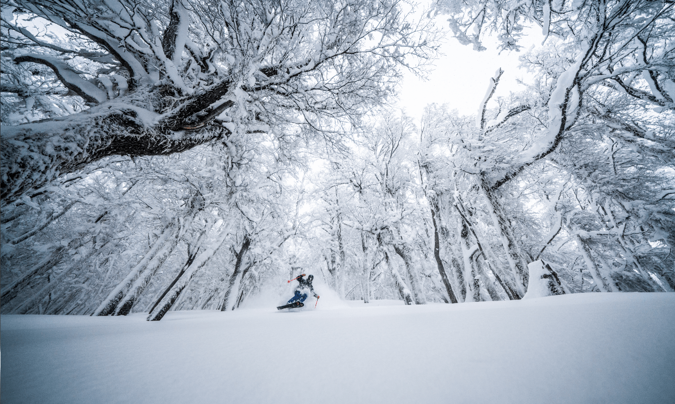 Bariloche Freeride Progression Camp with Molly Armanino & Niki Salençon - Image 1