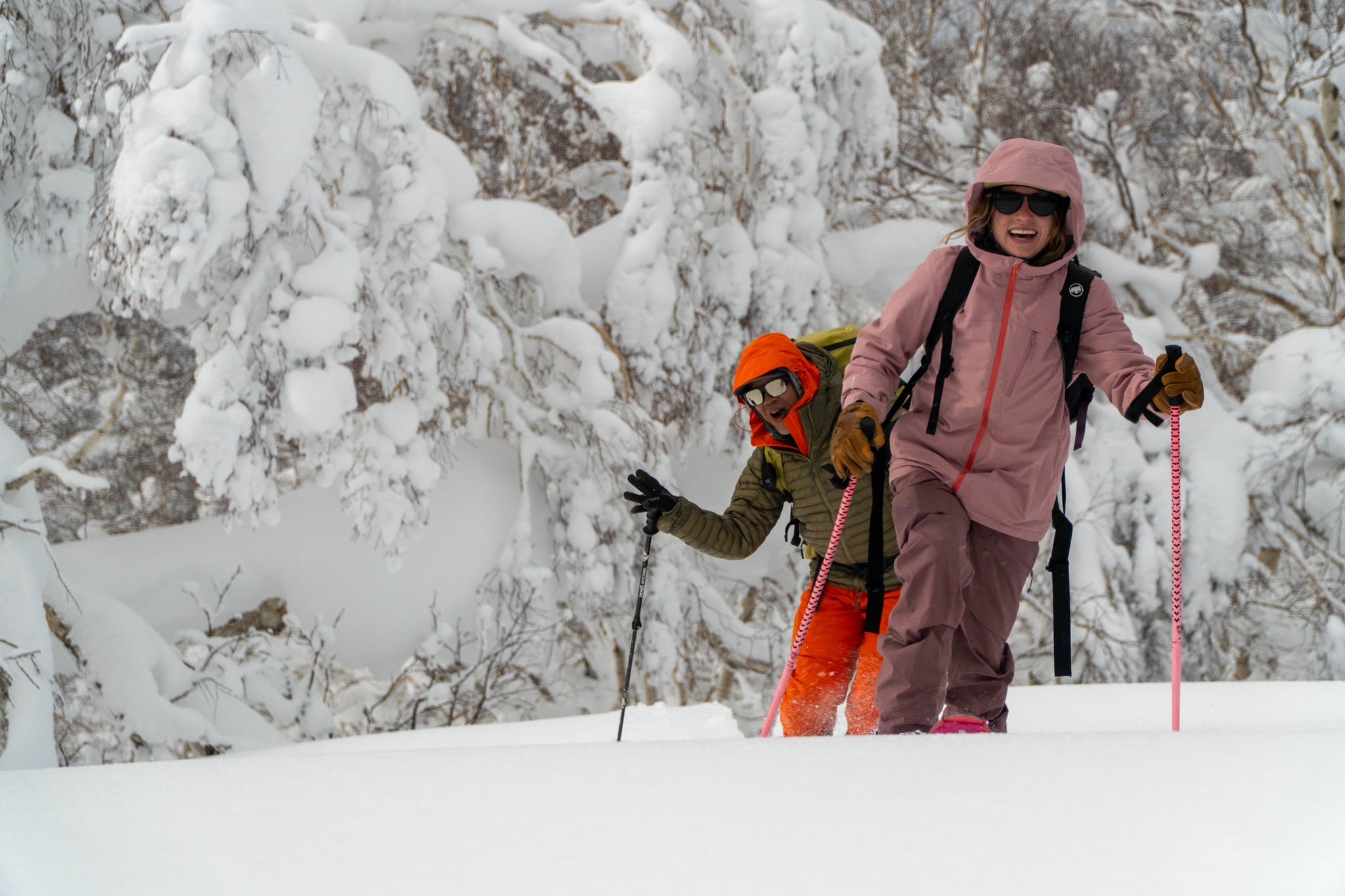 Hokkaido Backcountry + Resort Ski Week, Japan - Image 1
